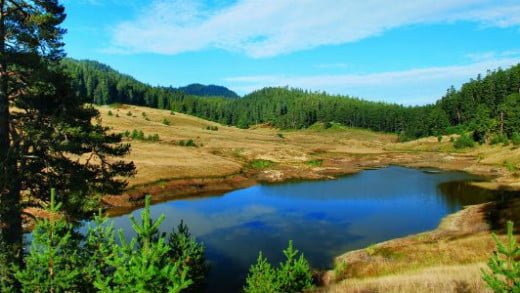 Eğriova Göleti